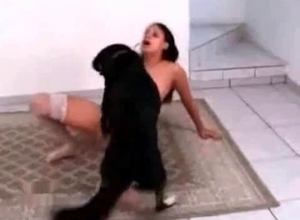 Horny hottie is enjoying brutal bestiality