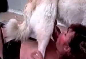 Impressive face-fucking action with a good animal