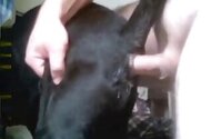Dog zoofilia tube
