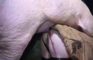 Amazing pig is banging the ass of this slut in a barn