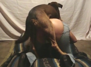 Doggystyle bestiality with a horned-up hottie