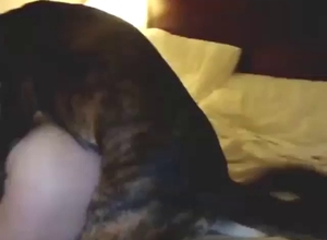 Zoophile porn shows a sexy dog taking that vag