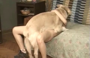 Great bestiality sex action with amazing animals