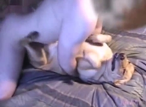 Dude pins down and molests a dog