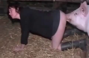 Sexy pig and a hot girl enjoy bestiality XXX