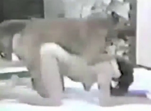 Her tits gets busy swinging in retro dog fuck vid