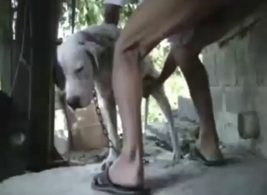 Zoophile fucked by a big-dicked Dalmatian