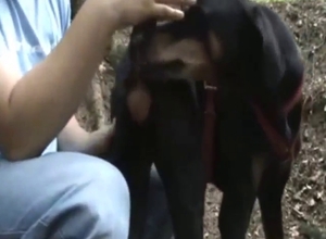 Outdoor zoophile porn with Doberman fingering