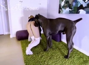 Schoolgirl in white stockings wants dog dick