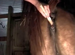 Mare pussy with huge capacity fucked by a dude