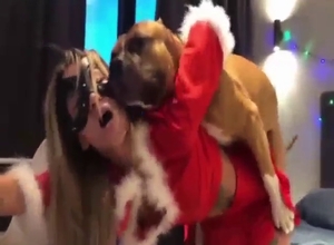 Skinny body babe gets to screw her horny mutt