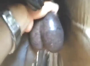 Balls of a stallion showcased up close today