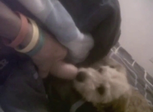 Dog wants to taste cock, it's a licking session